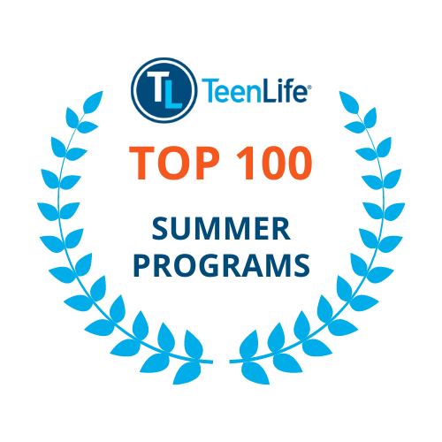 Summer top 100 badge